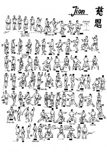 jion-embusen-tcms-karate-toulouse