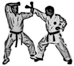 rubrique-techniques-tcms-karate-toulouse