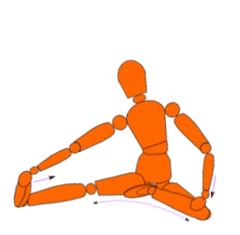 etirement-mawashi-geri-01